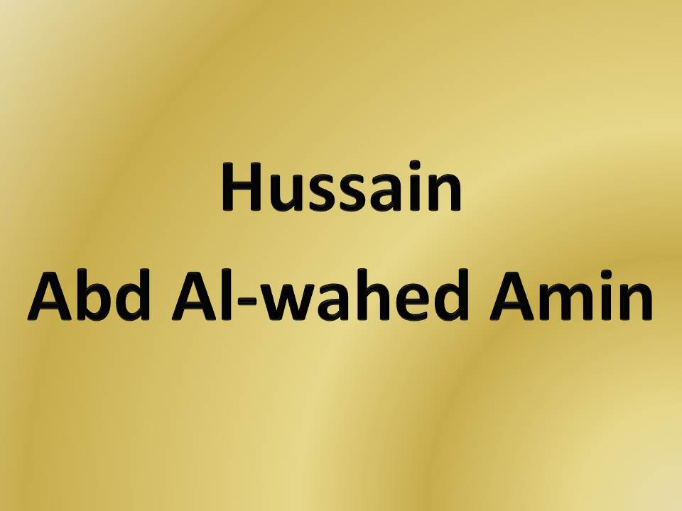 Hussain Abd al-Wahed Amin, Ex-Catholic, Ireland