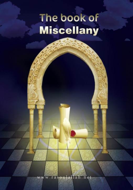 The Book of Miscellany 